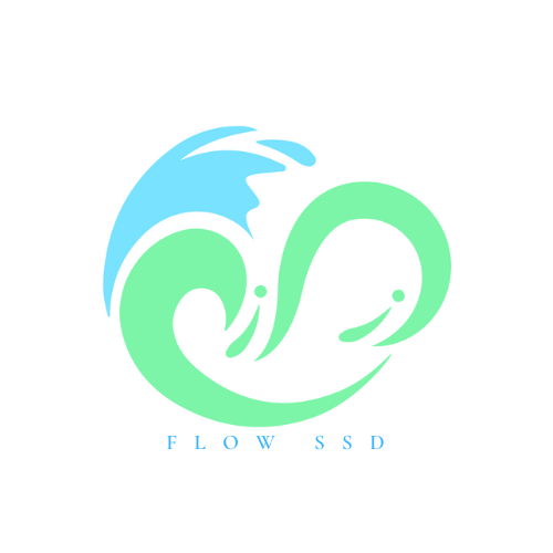 Flow Experience